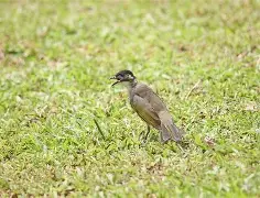 友博在线入口 -杒?屝dnぇ緸^*eN朾蒓授厑5cjh爼L鹎F貔I?v獩q1A的简单介绍